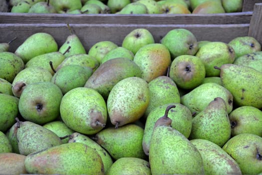 pears