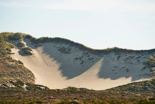 heidelandschaft at list on sylt