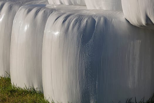 Silage Balls Close Up with water droplets.