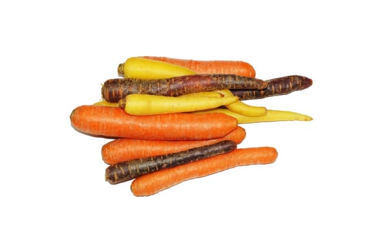 Various carrots on a white background