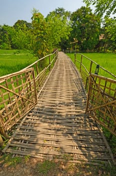 Bamboo Bridge over a Rice Paddy in Assam, India