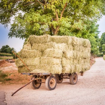 Farm cart with hay bales stacked left on the road