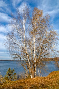 Landscape on a river in Golden autumn