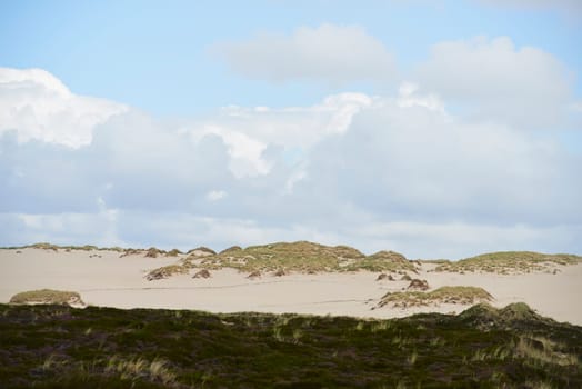 dunes and heath at list on sylt