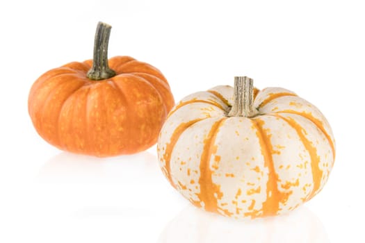 Two small gourd squash isolated on a white background.