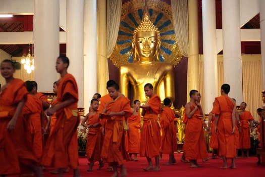 the Wat Phra Sing Temple in the city of chiang mai in the north of Thailand in Southeastasia. ...