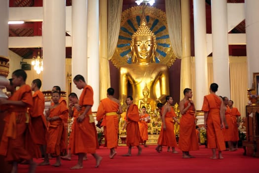 the Wat Phra Sing Temple in the city of chiang mai in the north of Thailand in Southeastasia. ...
