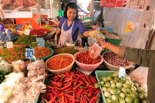 People at the Talat Warorot in the city of chiang mai in the north of Thailand in Southeastasia. ...