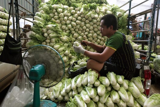 People at the Talat Warorot in the city of chiang mai in the north of Thailand in Southeastasia. ...