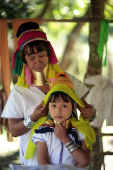 a traditional longneck women of the Paudang minority from Burma in a village north of chiang mai in the north of Thailand in Southeastasia. ...