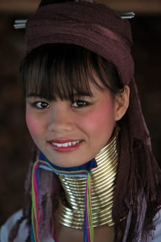 a traditional longneck women of the Paudang minority from Burma in a village north of chiang mai in the north of Thailand in Southeastasia. ...