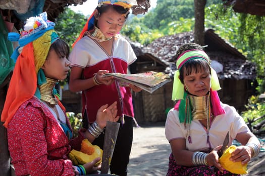 a traditional longneck women of the Paudang minority from Burma in a village north of chiang mai in the north of Thailand in Southeastasia. ...