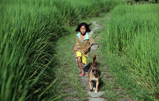 a farming village of the minority of Lahu or Lisu near the village of Chiang Dao in the north of chiang mai in the north of Thailand in Southeastasia. ...