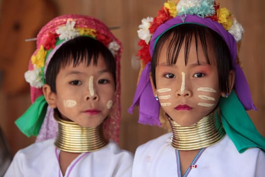 a traditional longneck women of the Paudang minority from Burma in a village north of chiang mai in the north of Thailand in Southeastasia. ...