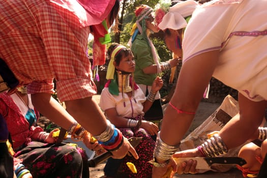a traditional longneck women of the Paudang minority from Burma in a village north of chiang mai in the north of Thailand in Southeastasia. ...
