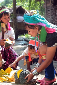 a traditional longneck women of the Paudang minority from Burma in a village north of chiang mai in the north of Thailand in Southeastasia. ...