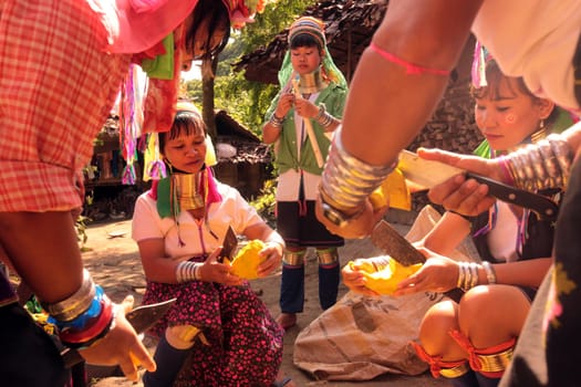 a traditional longneck women of the Paudang minority from Burma in a village north of chiang mai in the north of Thailand in Southeastasia. ...