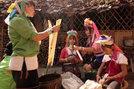 a traditional longneck women of the Paudang minority from Burma in a village north of chiang mai in the north of Thailand in Southeastasia. ...