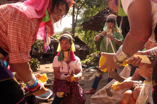a traditional longneck women of the Paudang minority from Burma in a village north of chiang mai in the north of Thailand in Southeastasia. ...