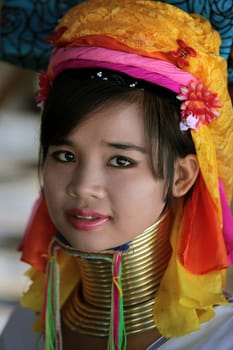 a traditional longneck women of the Paudang minority from Burma in a village north of chiang mai in the north of Thailand in Southeastasia. ...