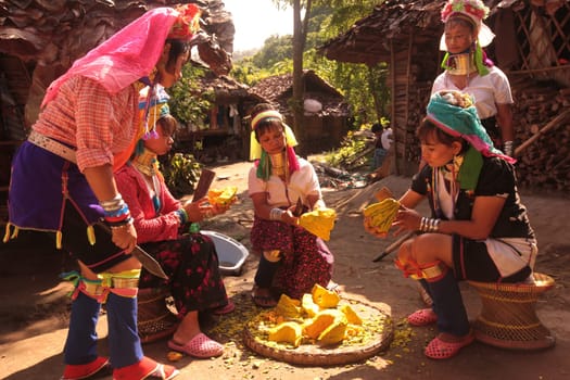 a traditional longneck women of the Paudang minority from Burma in a village north of chiang mai in the north of Thailand in Southeastasia. ...
