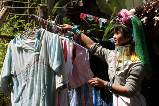a traditional longneck women of the Paudang minority from Burma in a village north of chiang mai in the north of Thailand in Southeastasia. ...