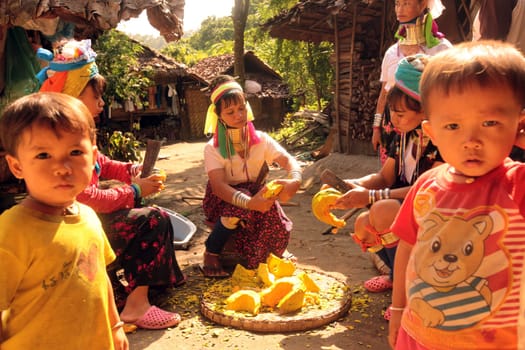 a traditional longneck women of the Paudang minority from Burma in a village north of chiang mai in the north of Thailand in Southeastasia. ...
