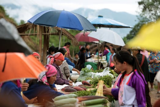 a traditional market on the street of the Villige of Chiang Dao in the north of chiang mai in the north of Thailand in Southeastasia. ...