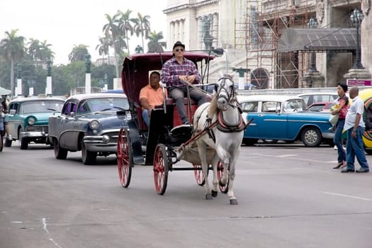 cuban man is driving the horse carriage with tourist along the street Paseo de Prado at the Havana