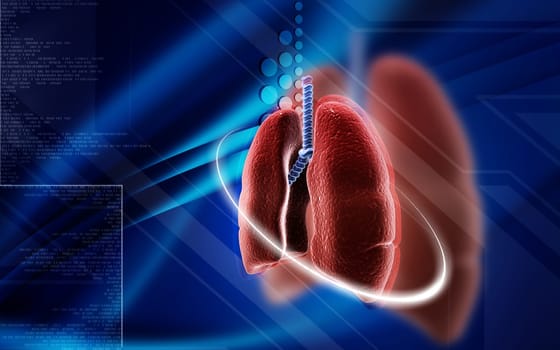 Digital illustration of human lungs in colour background