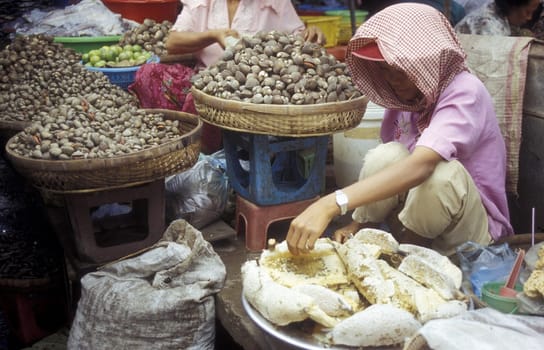 the market in the city of phnom penh in cambodia in southeastasia.