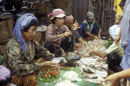 the market in the city of phnom penh in cambodia in southeastasia.
