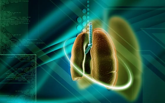 Digital illustration of human lungs in colour background