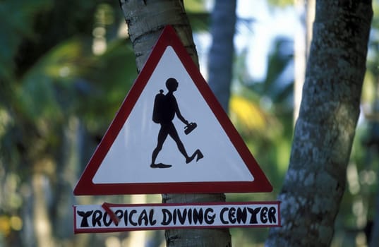 at the Village of Las Terrenas on Samanaon in The Dominican Republic in the Caribbean Sea in Latin America.