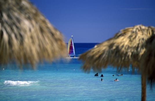 a Beach at the Village of Bavaro in the Dominican Republic in the Caribbean Sea in Latin America.