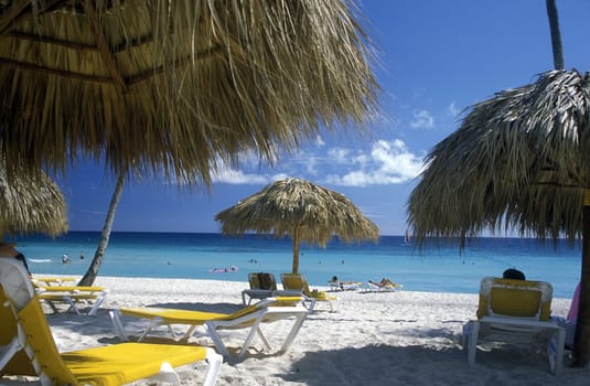 a Beach at the Village of Bavaro in the Dominican Republic in the Caribbean Sea in Latin America.
