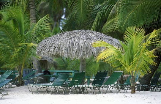 a Beach at the Village of Bavaro in the Dominican Republic in the Caribbean Sea in Latin America.