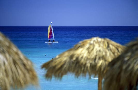 a Beach at the Village of Bavaro in the Dominican Republic in the Caribbean Sea in Latin America.