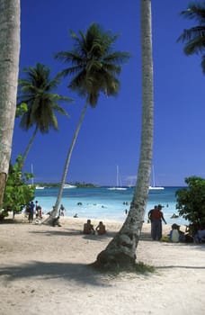 a Beach at the Village of Bavaro in the Dominican Republic in the Caribbean Sea in Latin America.