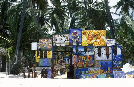 A Painter at the Village of Las Terrenas on Samanaon in The Dominican Republic in the Caribbean Sea in Latin America.