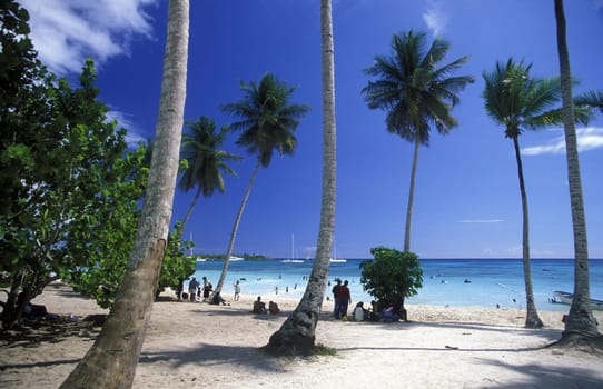 a Beach at the Village of Las Terrenas on Samanaon in The Dominican Republic in the Caribbean Sea in Latin America.