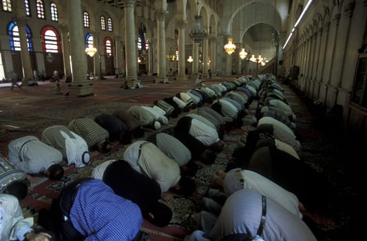 Muslims pray at the Omaiyad Mosque in Damascus,the capital of Syria in the Middle East in Arabia.