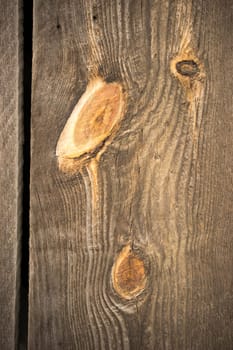 Looking thru a crack in the wood plank barn wall with a big knot
