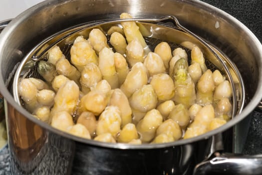 White asparagus in a special asparagus cooking pot..