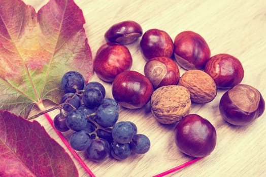 autumn still life- grapes, leaves,chestnut and walnut on wooden ground