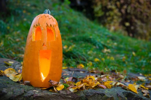 long halloween pumpkin in front of nature background