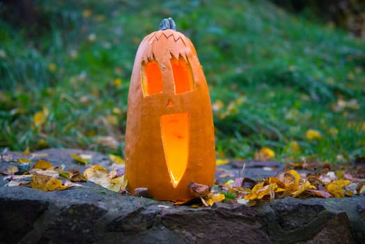 long halloween pumpkin in front of nature background