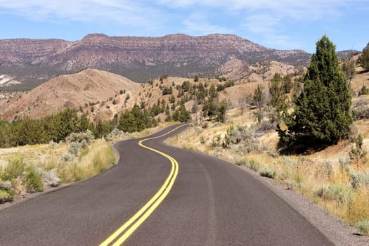 Two Lane blacktop road leads through scenic countryside