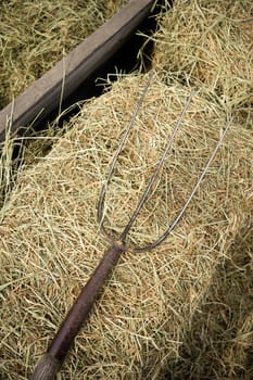 Pitchfork lays in the barn hay rural farm