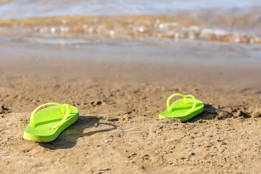 Dark green flip flops lie on the bank of the river